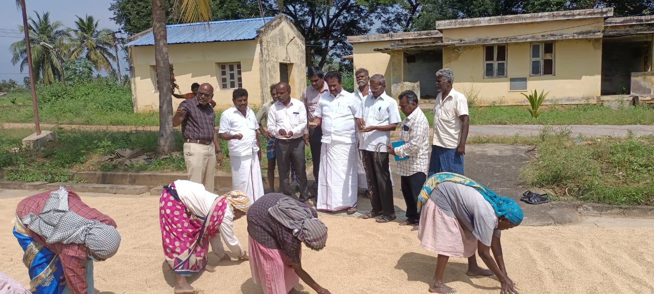 உயர்ரக நெல்ரகங்களான கருப்பு கவுனி மற்றும் மாப்பிள்ளை சம்பா நெற்பயிர்களை எம் எல் ஏ ஆய்வு