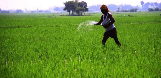 விவசாயிகளின் வருமானத்தை அதிகரிப்பதற்கு உறுதியளிக்கிறது