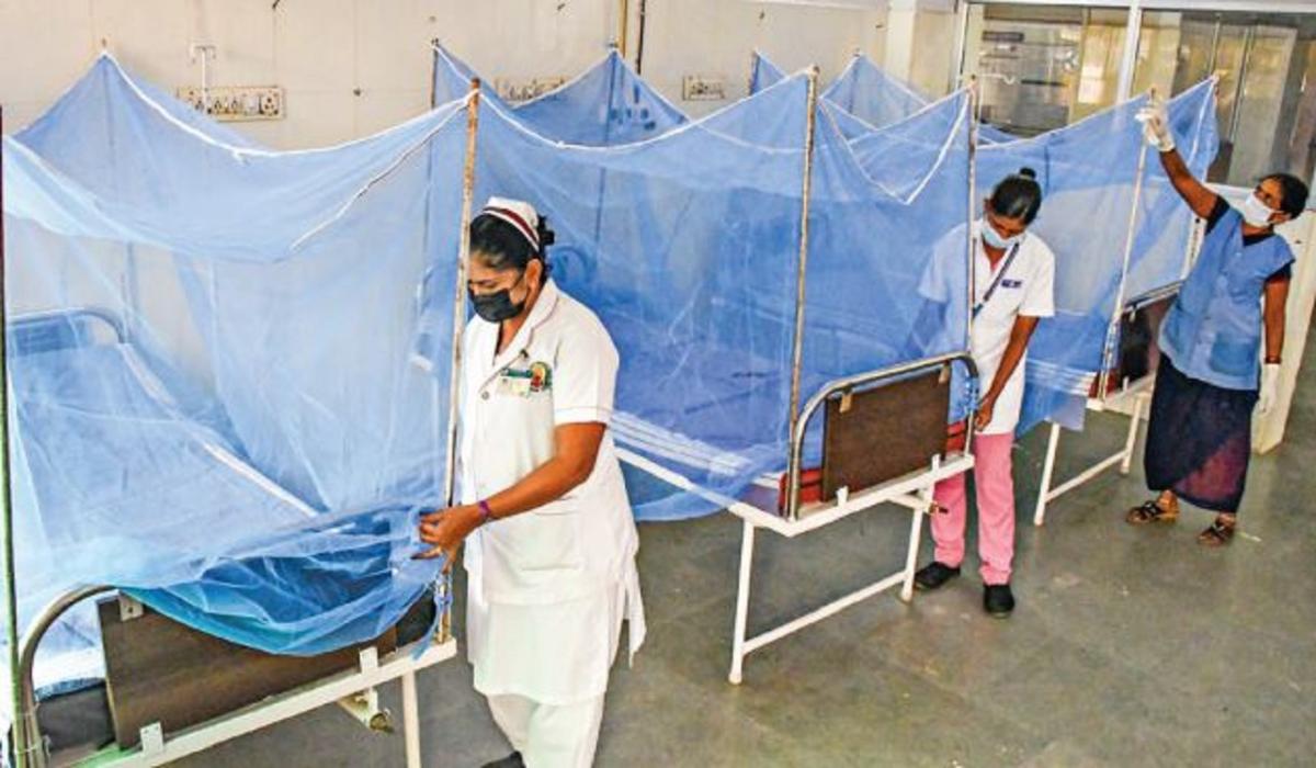 தமிழகத்தில் அரசு மருத்துவமனைகளில் டெங்கு சிறப்பு வார்டு அமைக்க மருத்துவத்துறை உத்தரவு